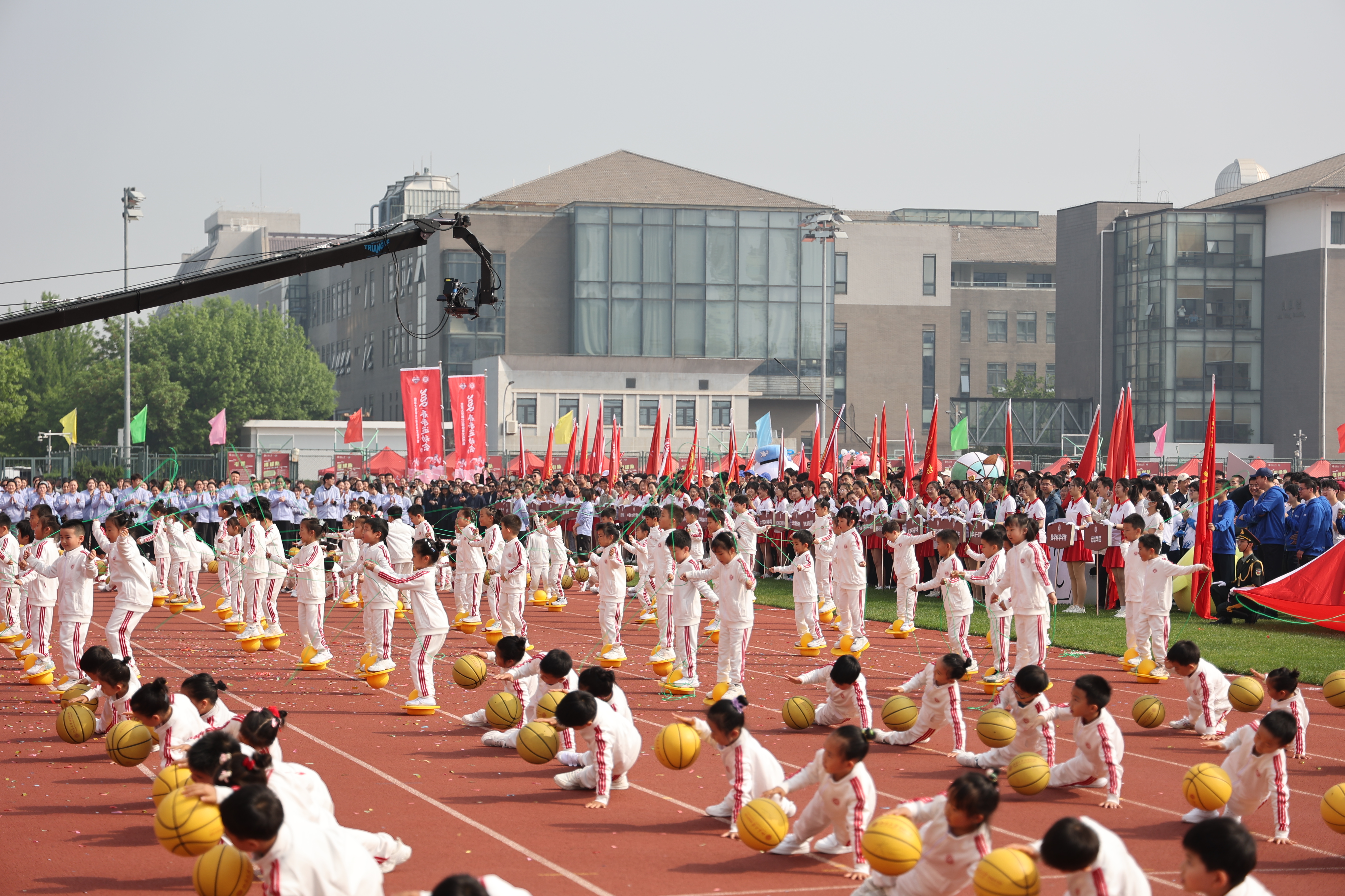 ZZP_7423.JPG